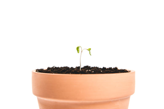 Classic Blown Clay Pot for Plants - Outdoor Decor