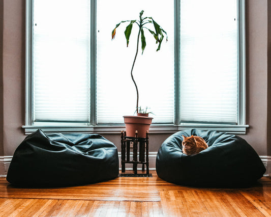 Black leather beanbag in indoor living space