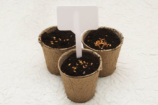 Biodegradable Outdoor Cardboard Pots for Gardening