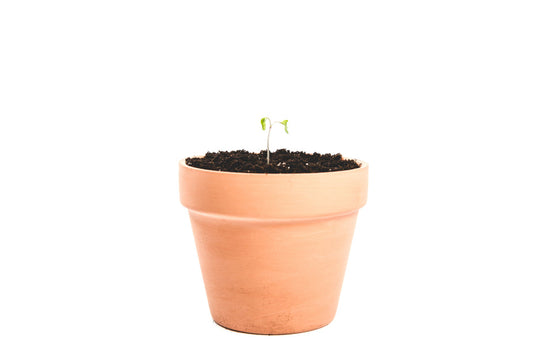 Classic Blown Clay Pot for Plants - Outdoor Decor